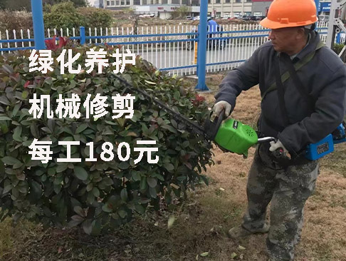綠化養(yǎng)護(hù)