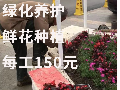 綠化養(yǎng)護(hù)
